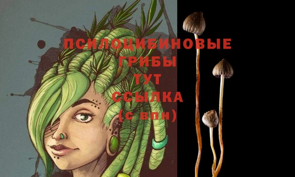 молекула духа Слюдянка