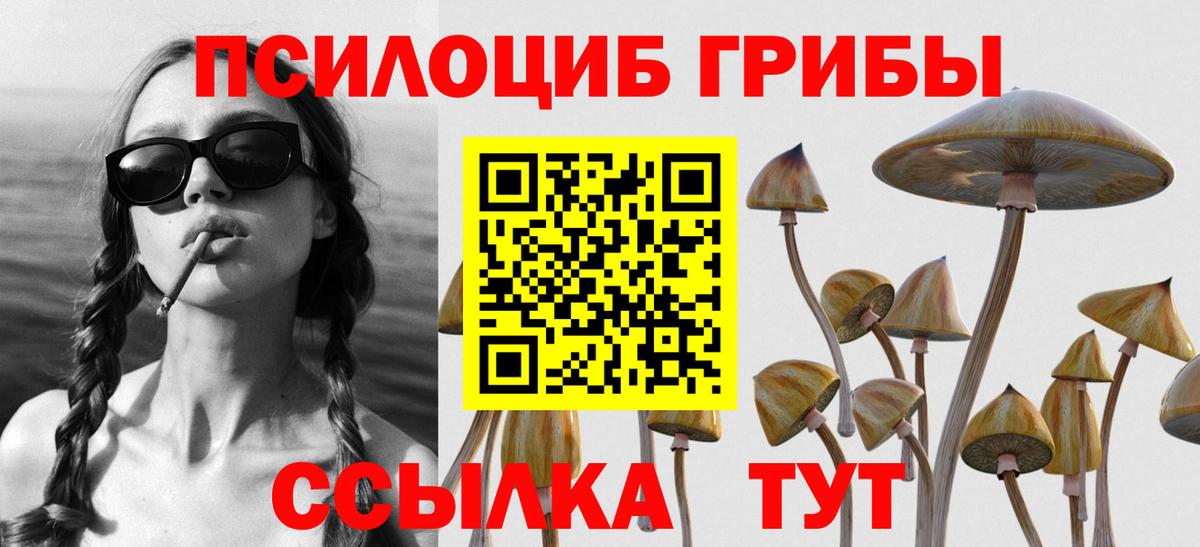 Галлюциногенные грибы MAGIC MUSHROOMS  Вход с VPN  Богородицк 