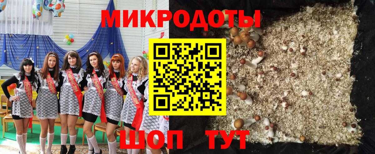 Галлюциногенные грибы прущие грибы Богородицк