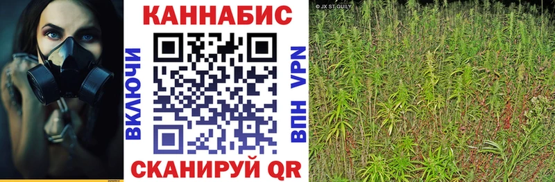 kraken зеркало  купить  сайты  Богородицк  Шишки марихуана White Widow 