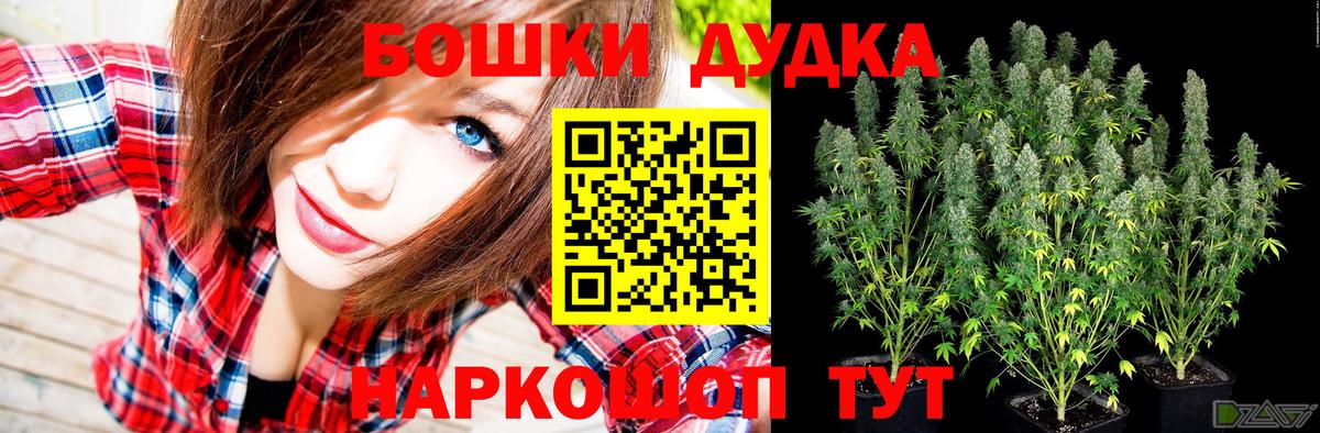 МАРИХУАНА планчик  Вход с VPN  Бошки Шишки индика  Богородицк  Бошки Шишки план 